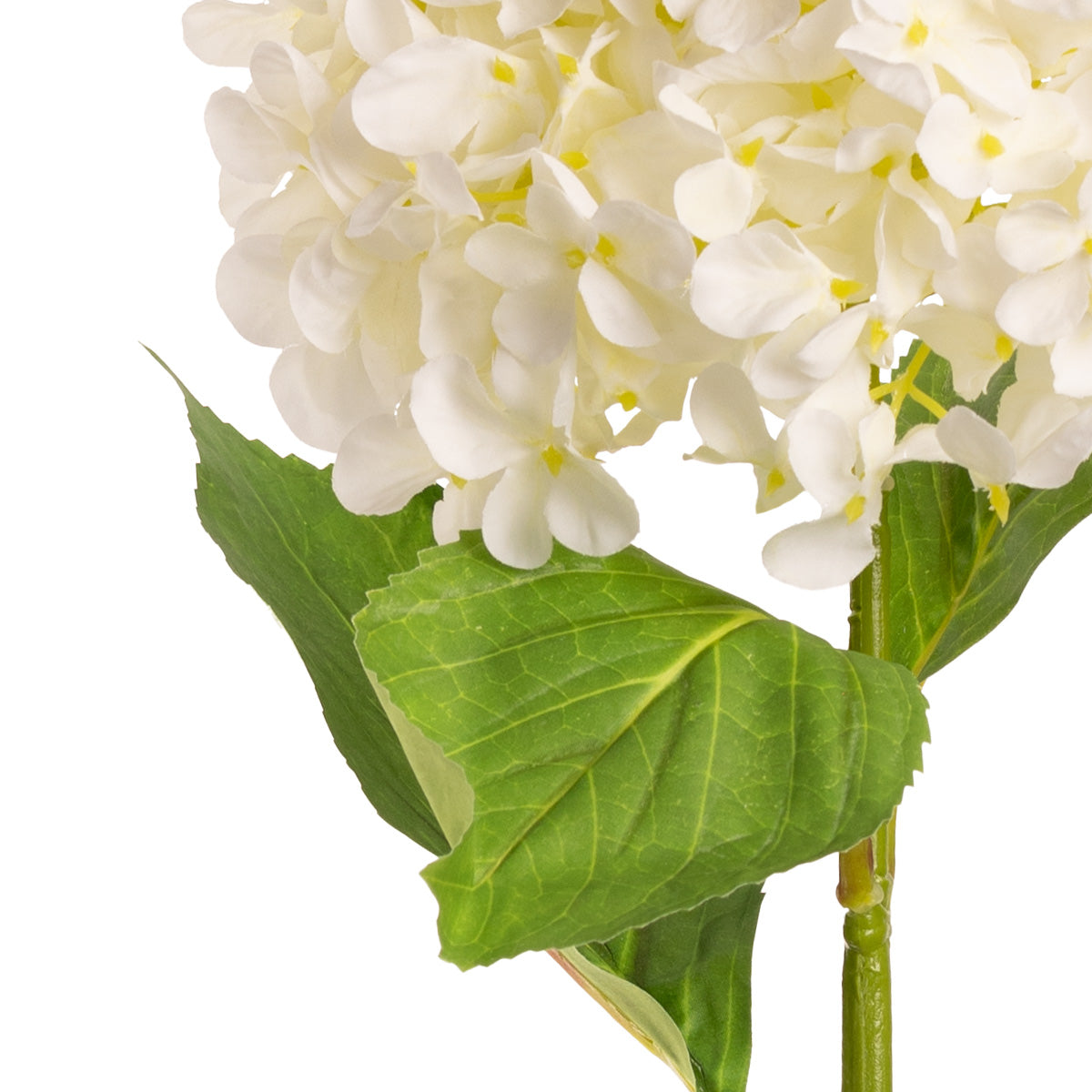 Hydrangea Stem White (19cm Head 66cm Stem) image 1
