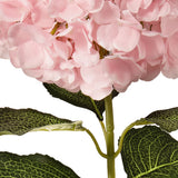 Large Head Hydrangea Light Pink 92cm image 3