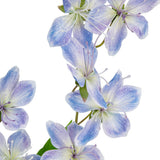 Clematis Spray x 2 Blue image 1