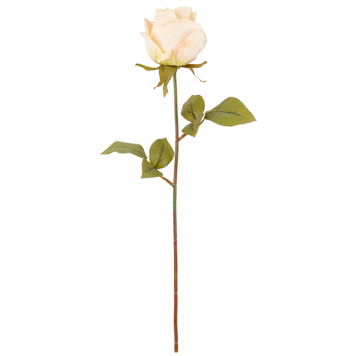 Dry Image Rose Almond Cream image 0