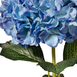 Large Head Hydrangea Blue image 2