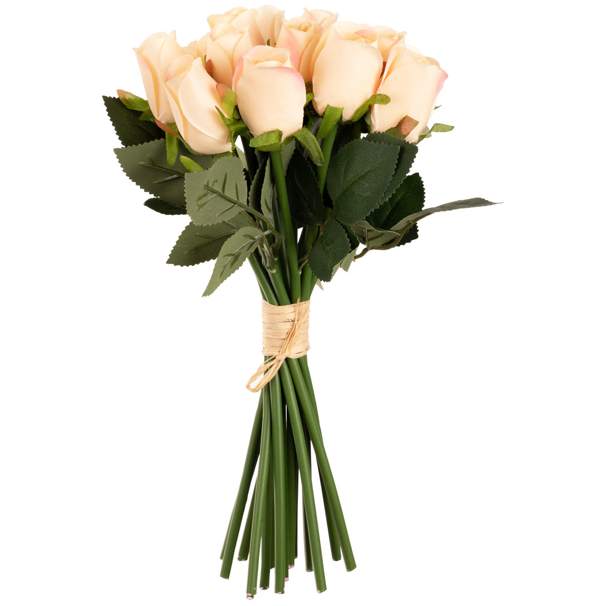 Beatrice Rose Bud Bunch x 15 Nude image 0