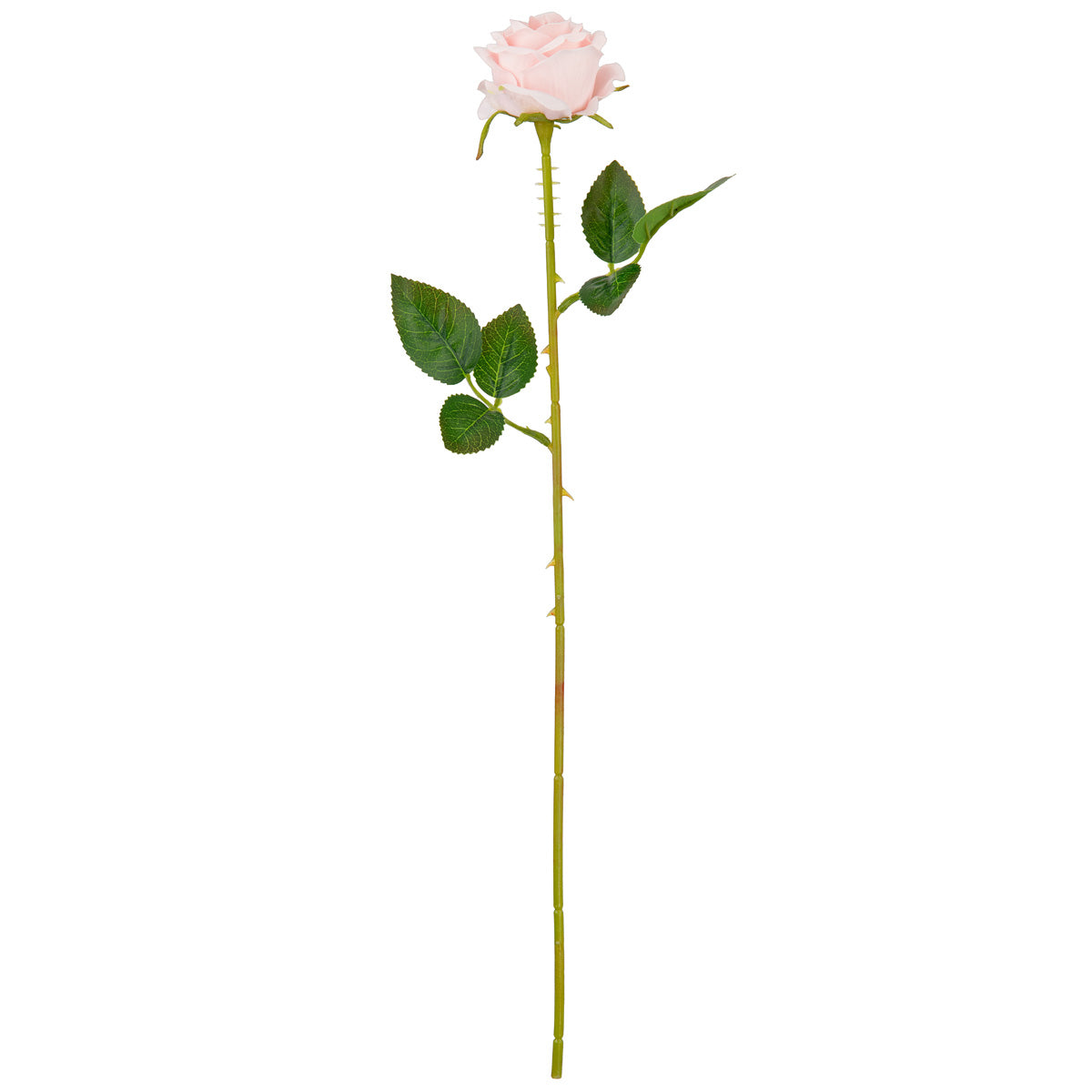 Gabriella Single Rose Soft Pink 53cm image 0