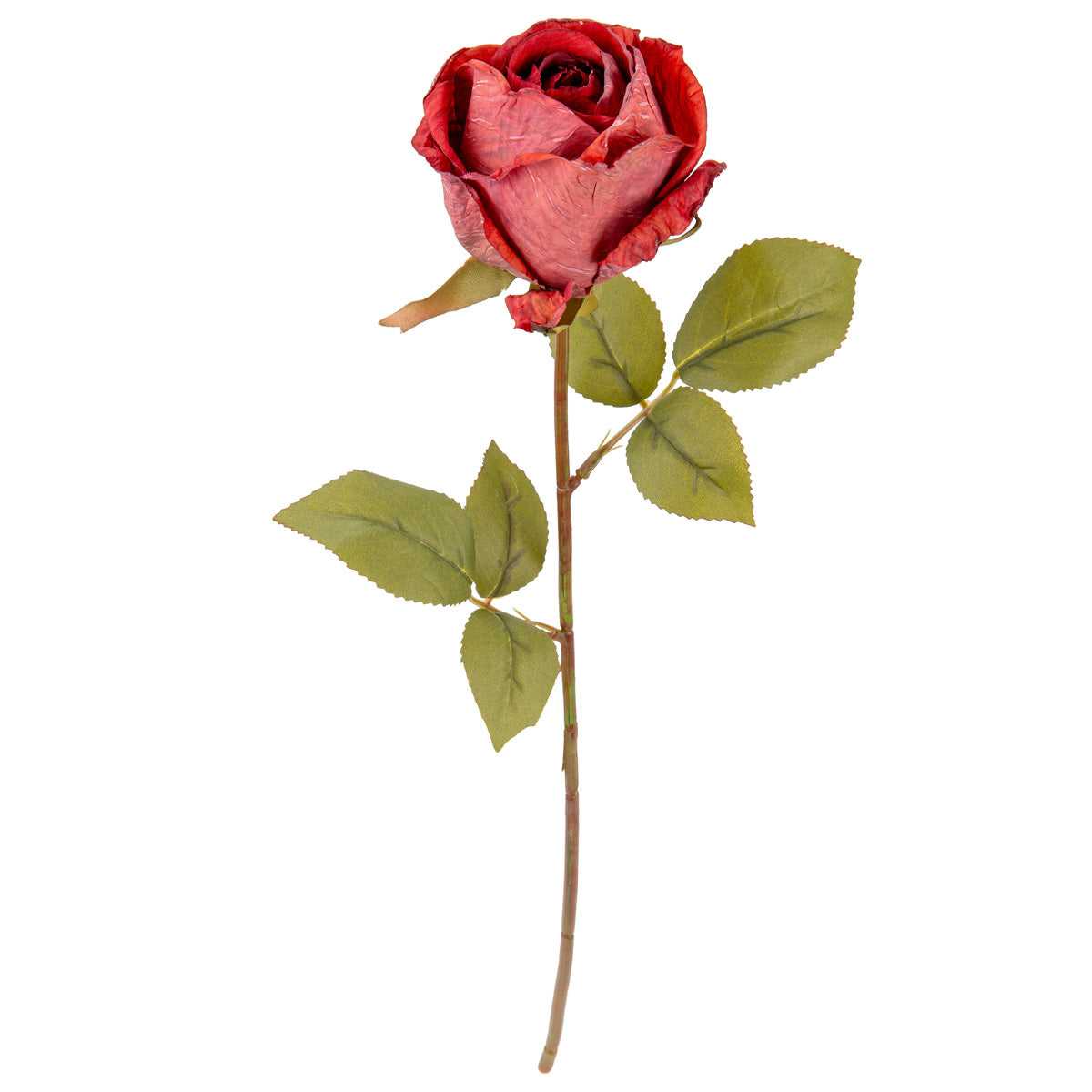 Dry Image Rose Vintage Wine image 1