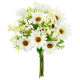 Gerbera Daisy Mixed Bush White image 1