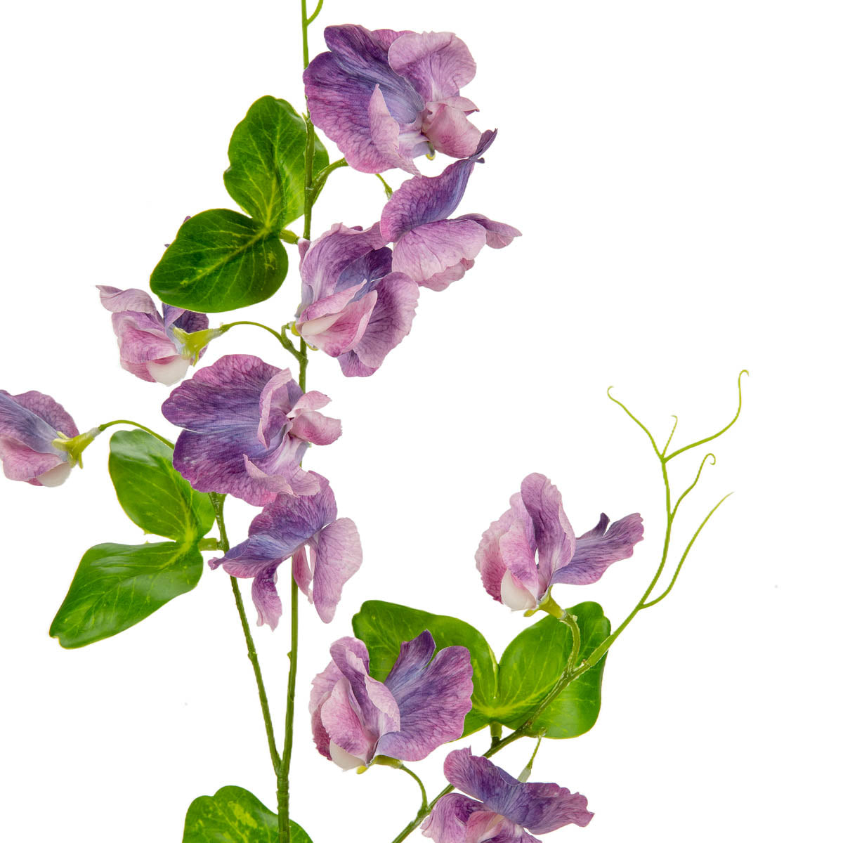Sweet Pea Spray Purple image 1