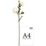 Elizabeth Garden Rose Spray x 3 Cream image 1