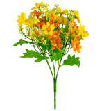 Mixed Daisy Bush Yellow Orange image 0