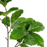 Wild Grape Leaf Spray Green image 1