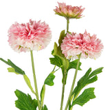 Oriental Aster Spray x 3 Dark Pink image 1