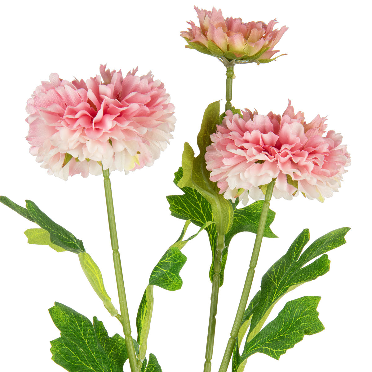 Oriental Aster Spray x 3 Dark Pink image 1