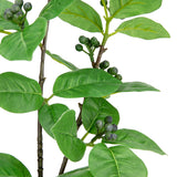 Clematis Leaf with Berries image 2
