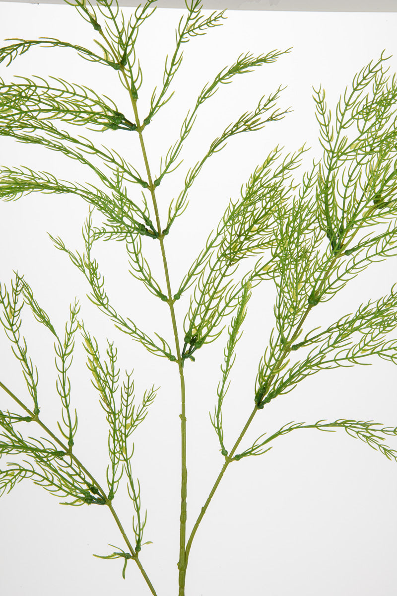 Wild Asparagus Spray Light Green image 1