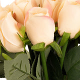 Beatrice Rose Bud Bunch x 15 Nude image 1