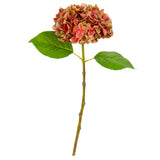 Small Head Hydrangea Two Tone Green/Pink image 0