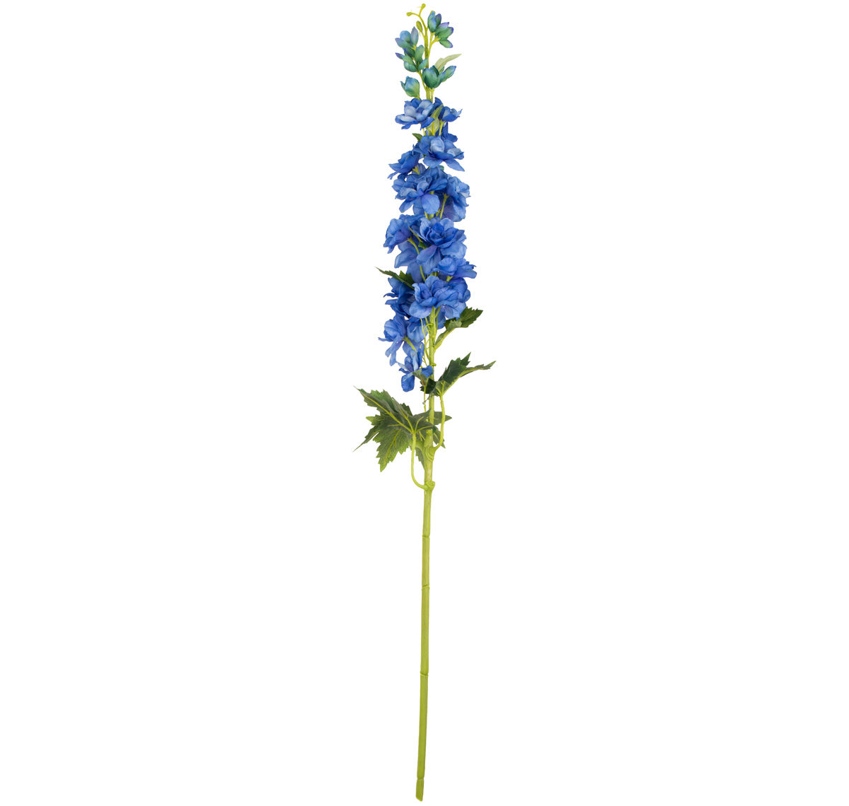 Delphinium x 26 Heads 106cm Blue image 0