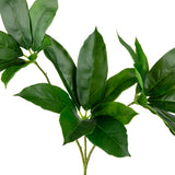 Octopus Tree Leaf Spray x 3 Green image 1