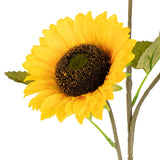 Sunflower Spray x 3 Large image 2