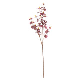 Eucalyptus Stem Burgundy image 0