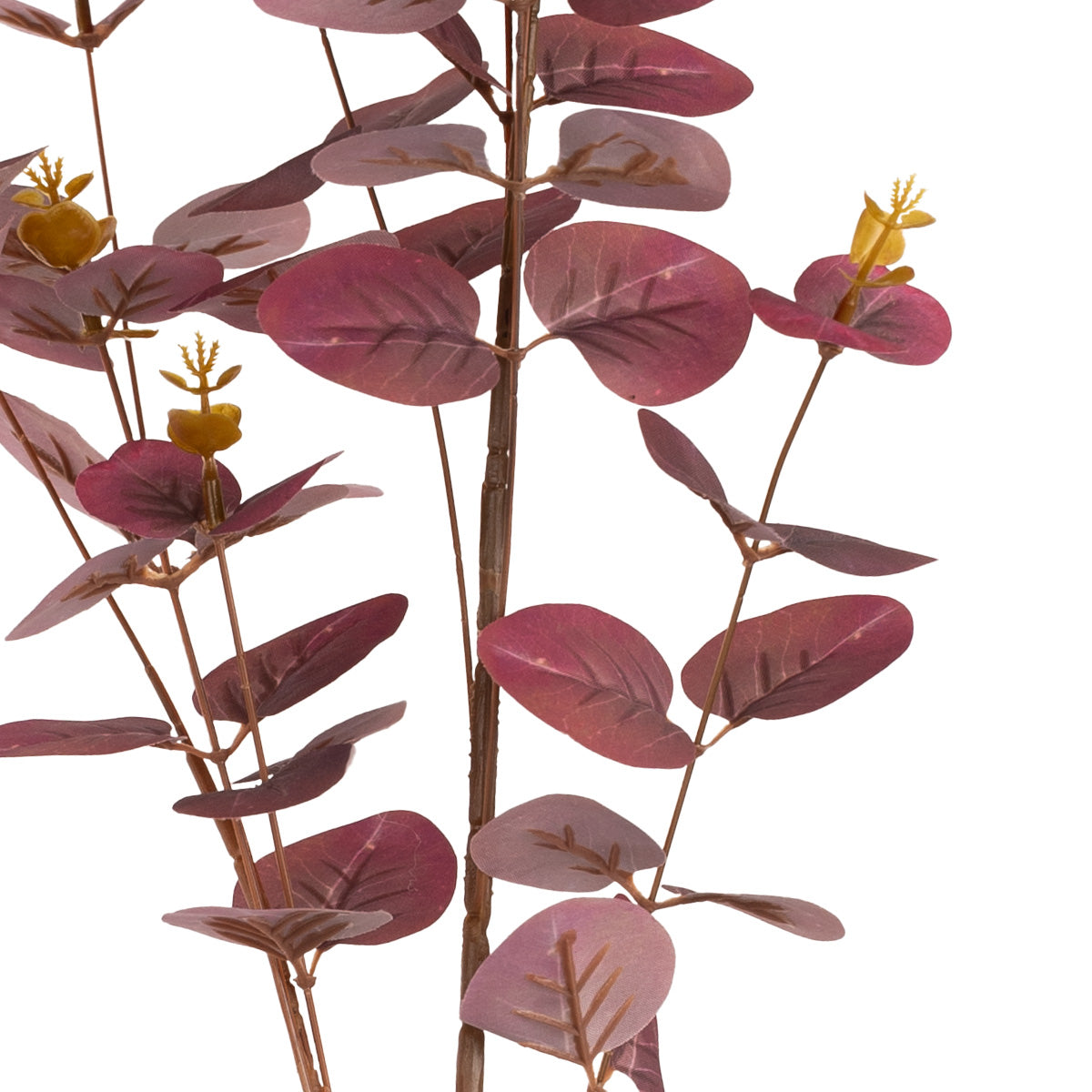 Eucalyptus Stem Burgundy image 2