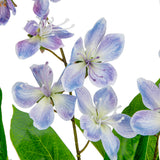 Clematis Spray x 2 Blue image 2