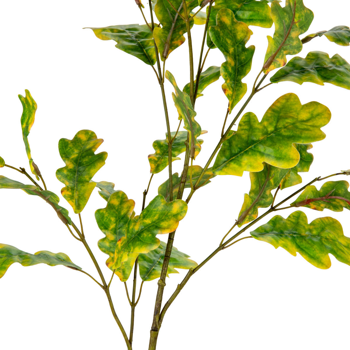 Oakleaf Spray Green/Yellow image 1