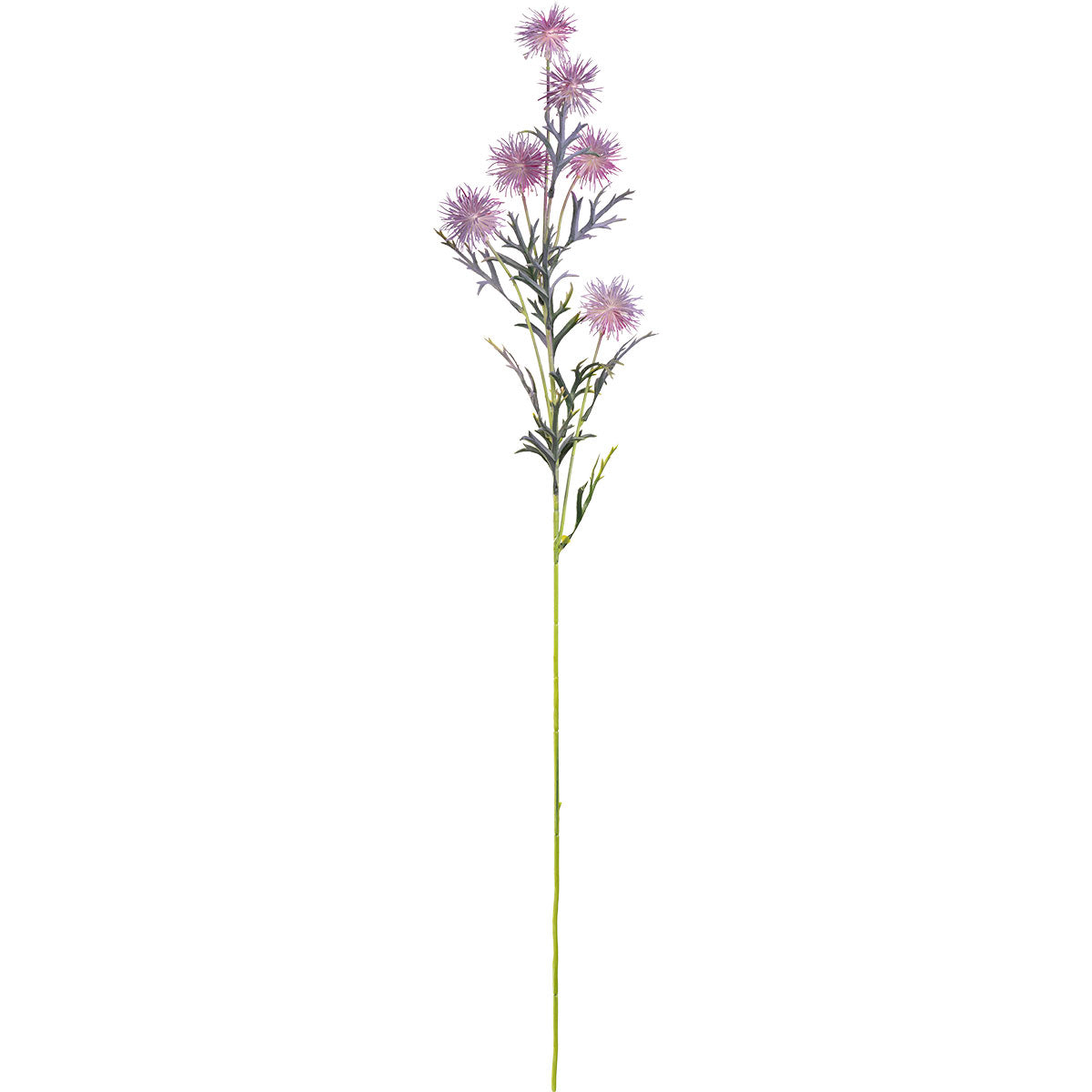 Collina Thistle Spray 80cm Purple image 0