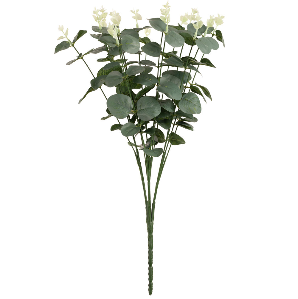 Eucalyptus Bush x 16 Green image 0