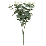 Eucalyptus Bush x 16 Green image 0