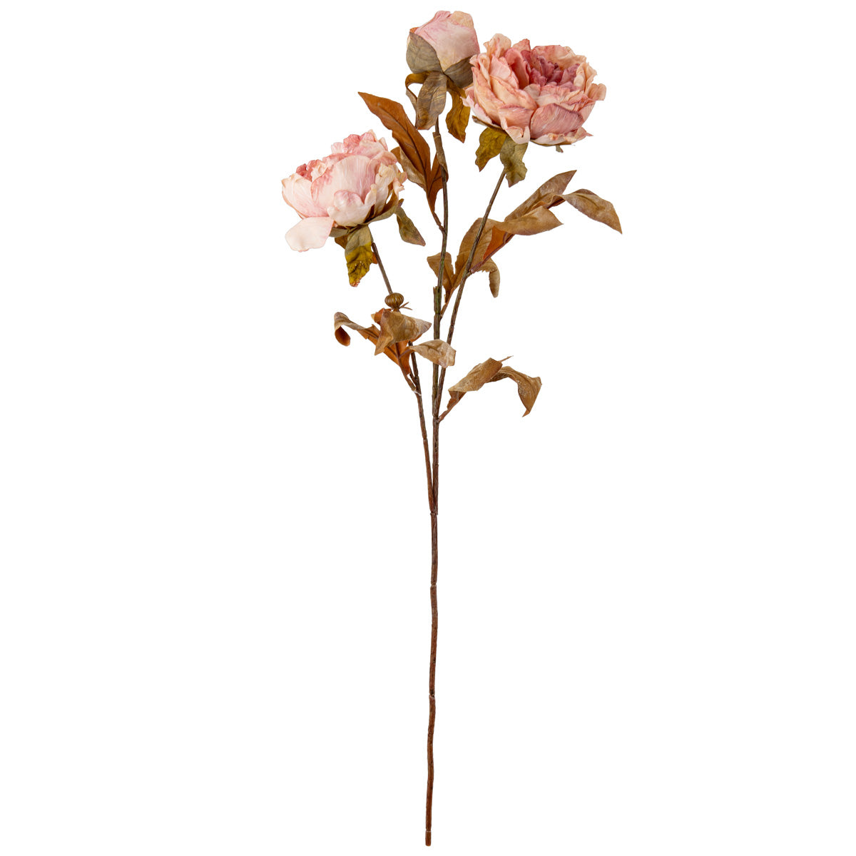 Dry Image Peony Rose Quartz image 0