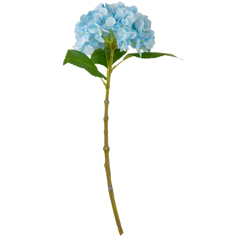 Small Head Hydrangea Light Blue image 0