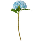 Small Head Hydrangea Light Blue image 0