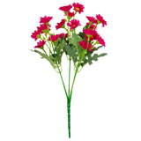 Daisy Bush Cerise image 1