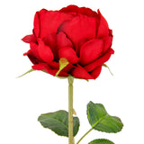 65cm Single Rose Red image 1