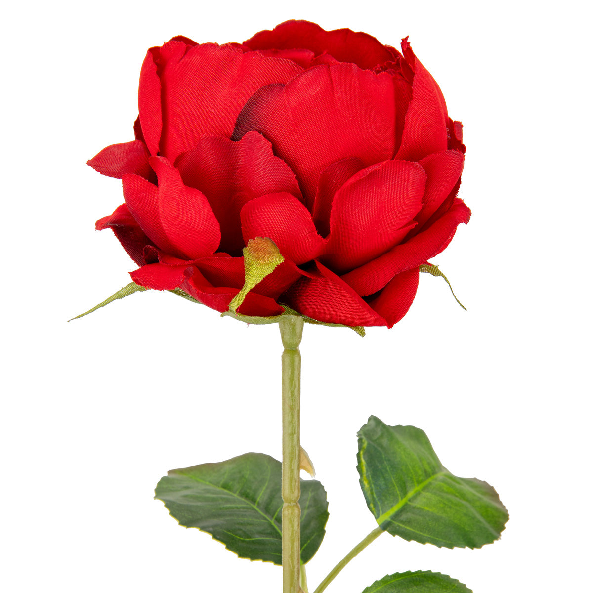 65cm Single Rose Red image 1