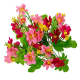 Mixed Daisy Bush Pink image 1