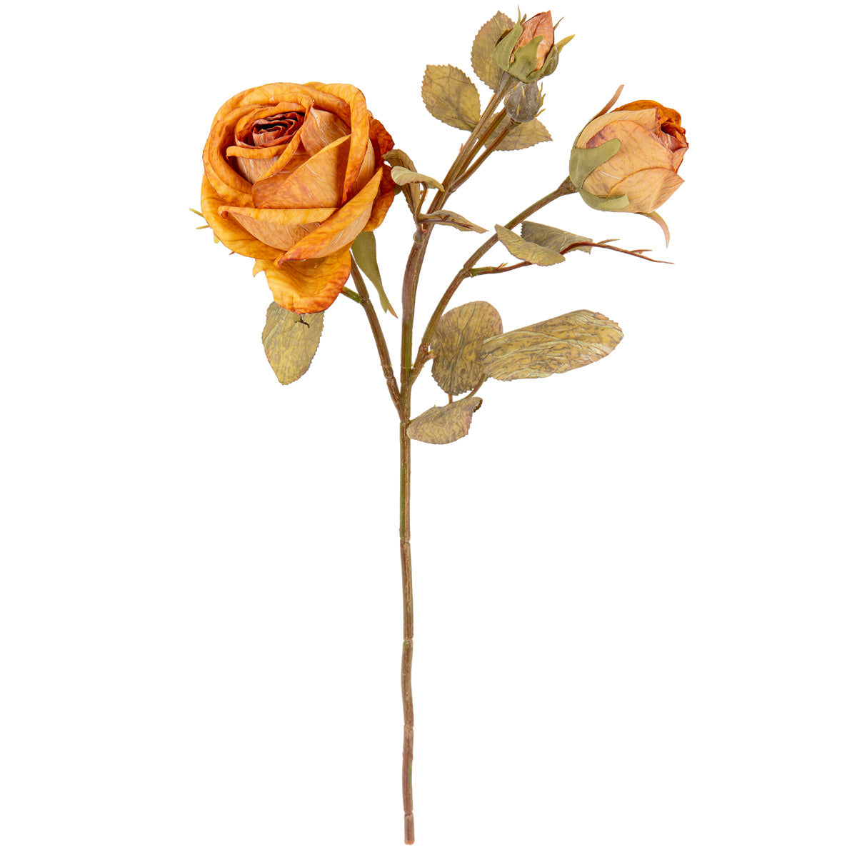 Dry Image Rose Spray Honey Sunset image 1