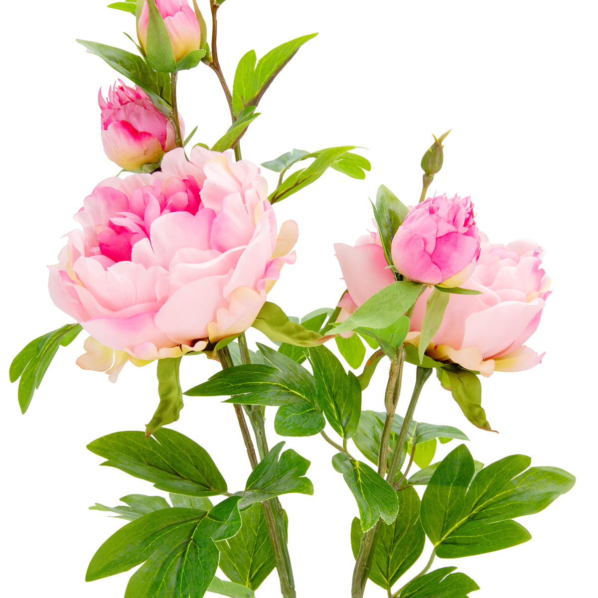 90cm Peony Spray x 5 Light Pink image 1