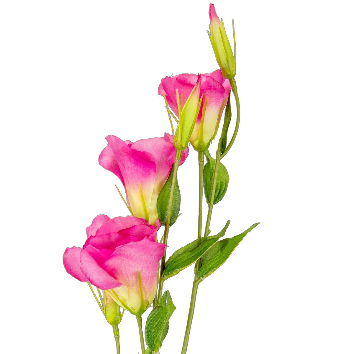 Eleganza Lisianthus Spray x 3 Cerise image 1