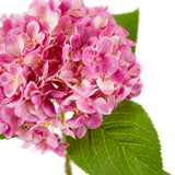 Small Head Hydrangea Pretty Pink image 2