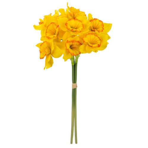 16" Daffodil Bouquet x 9 Heads Yellow image 0