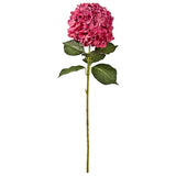 Large Head Hydrangea Fuchsia image 0