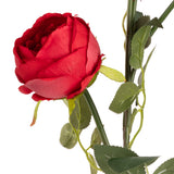 Elizabeth Garden Rose Spray x 3 Red image 2