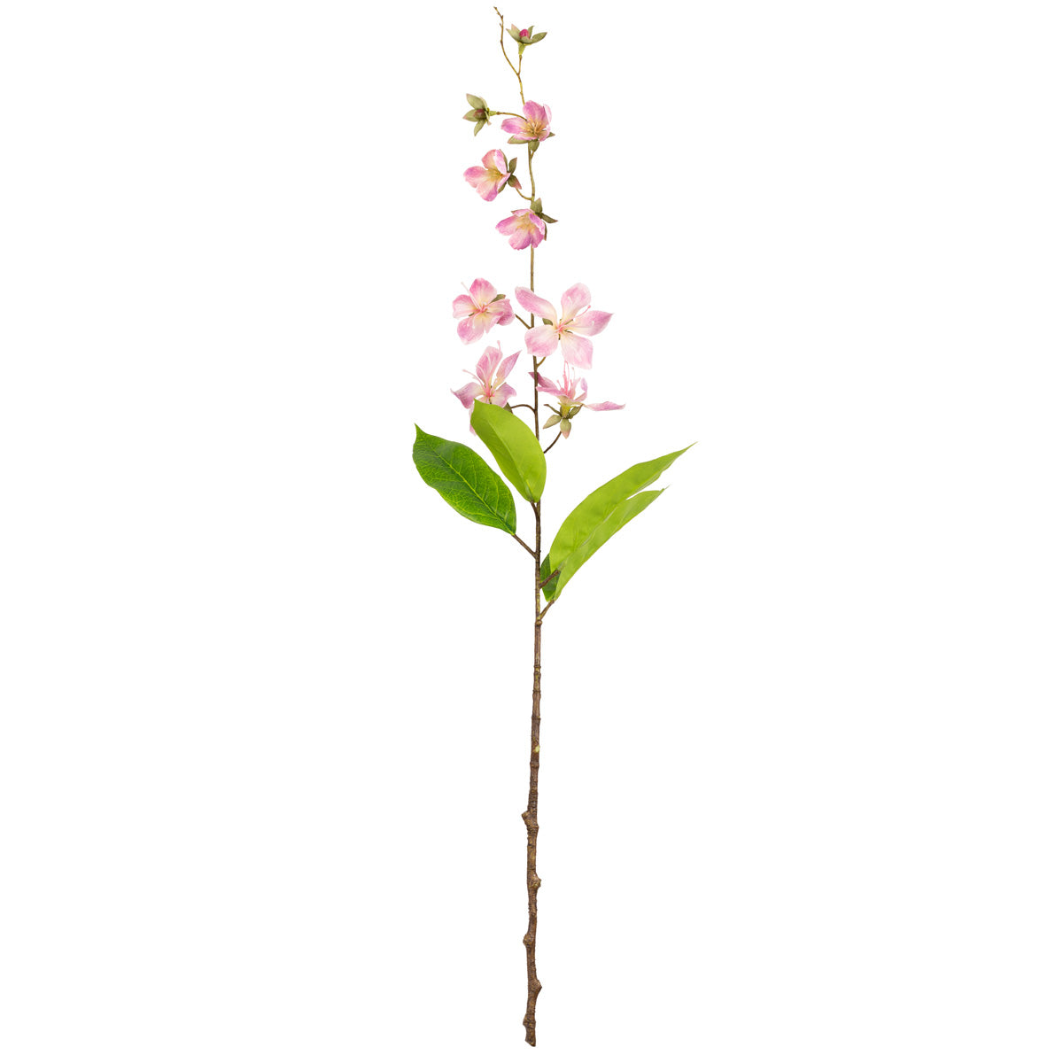 Clematis Spray (78cm) Pink image 0