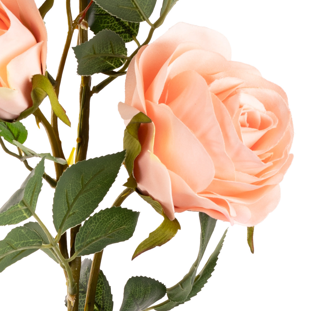 Large Charlotte Rose Spray x 3 Champagne image 2