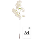 Blossom Spray White image 1