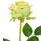 Gabriella Single Rose Green 53cm image 1