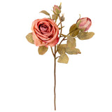 Dry Image Rose Spray Vintage Rose Pink image 1