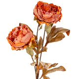 Dry Image Peony Copper Beech image 1