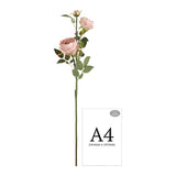 Elizabeth Garden Rose Spray x 3 Dirty Pink image 1